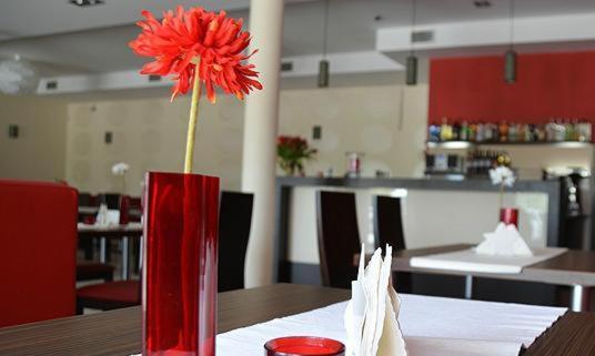 Tokarnia希纳蒙酒店的红色花瓶,桌子上放着红花