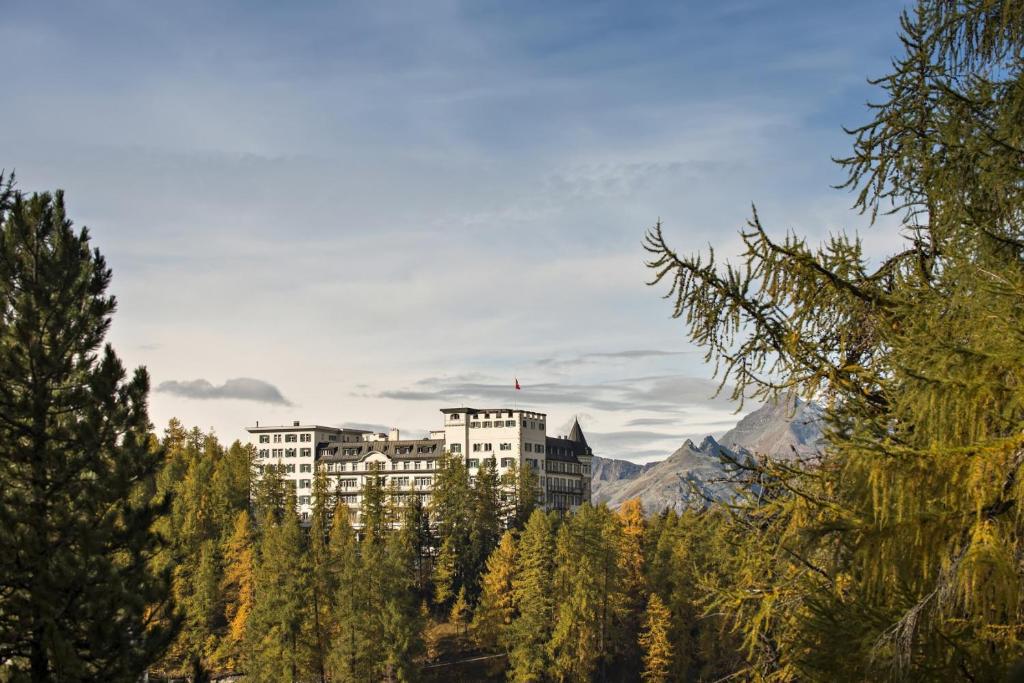 锡尔斯玛丽亚Hotel Waldhaus Sils的山顶上树木繁茂的建筑