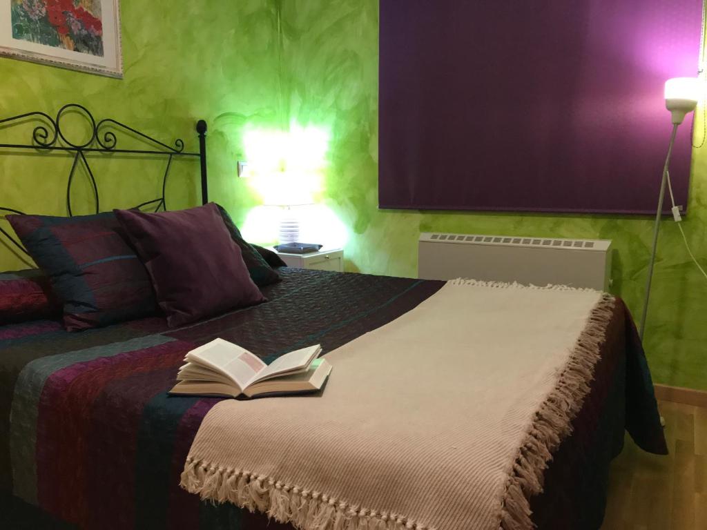阿尔玛格鲁Apartamento La Plazuela的一间卧室配有一张床,上面有一本书