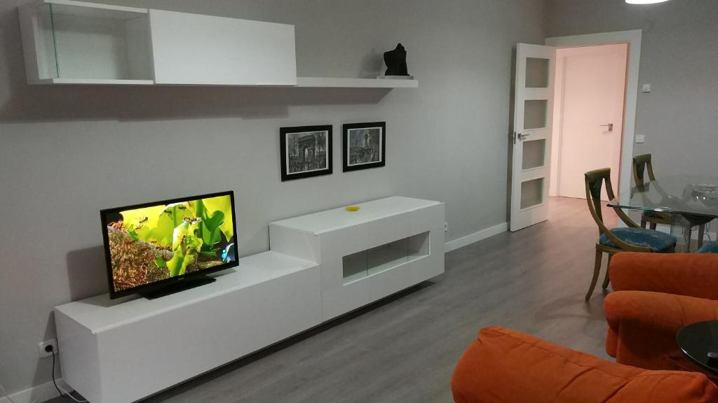 洛格罗尼奥San Anton Centro Apartment的客厅设有壁挂式平面电视。