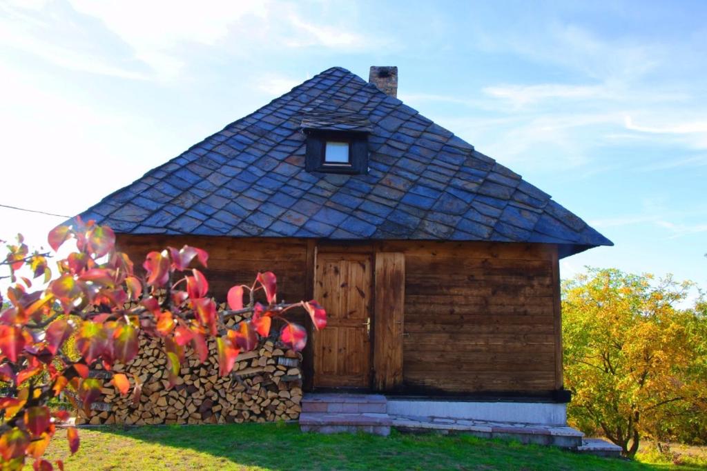 SirogojnoCabin Menka的一座带屋顶和石墙的小房子