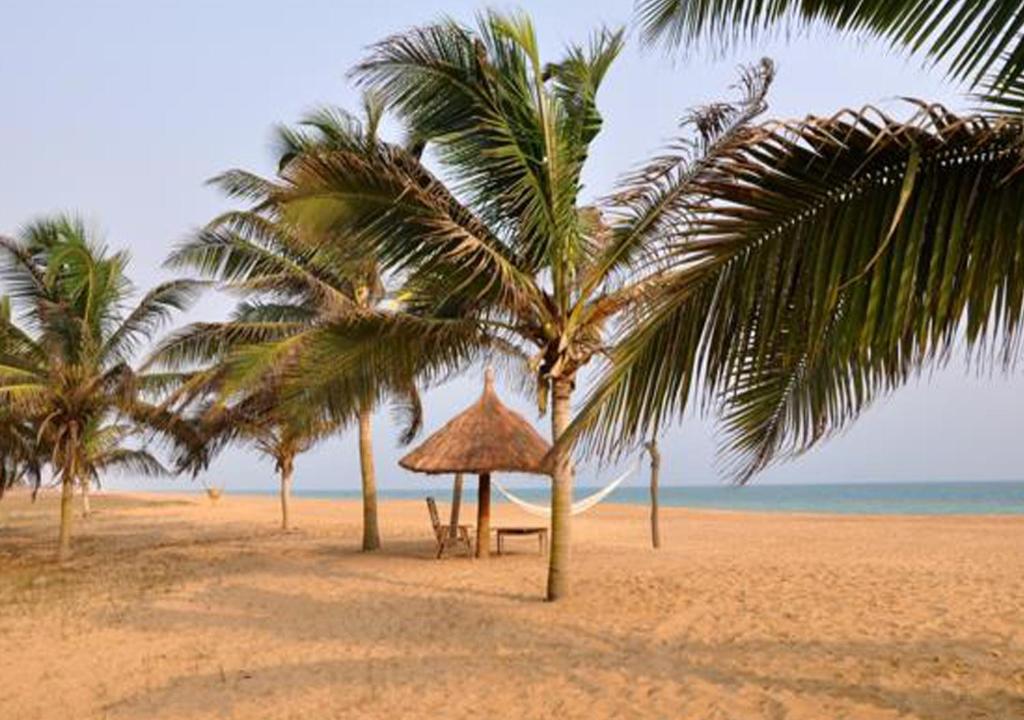 科托努Hôtels Résidences Easy的海滩上种有棕榈树和长凳的海滩