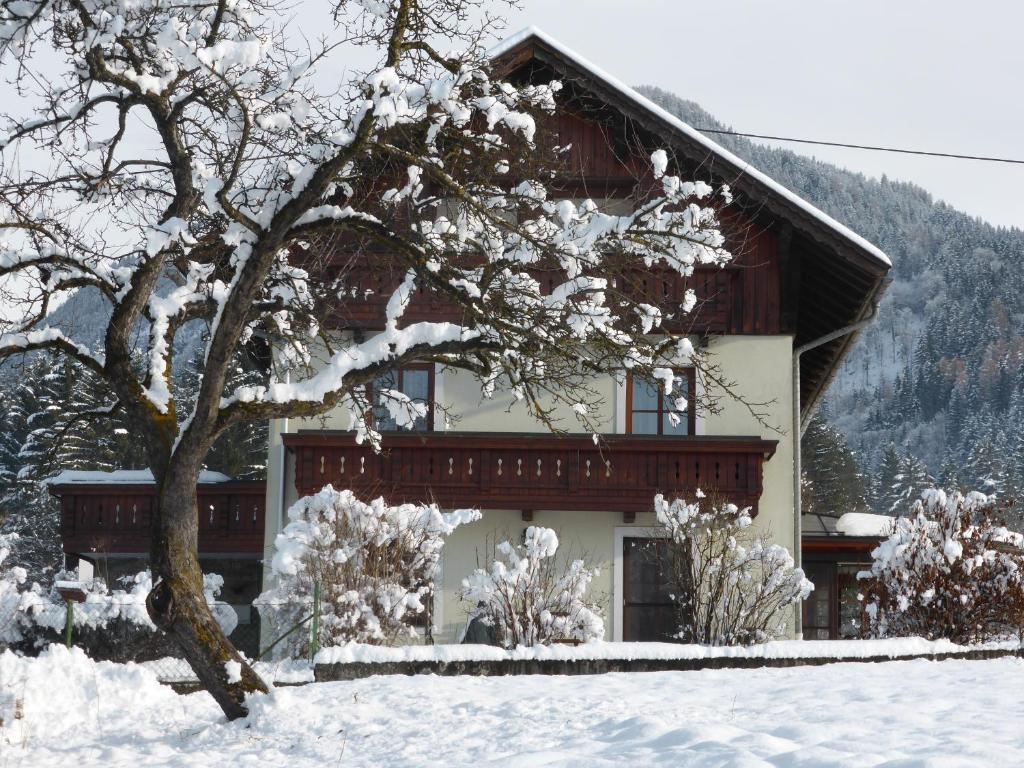 格赖芬堡Ferienwohnungen Kolbitsch的前面有一棵树,有雪盖的房子