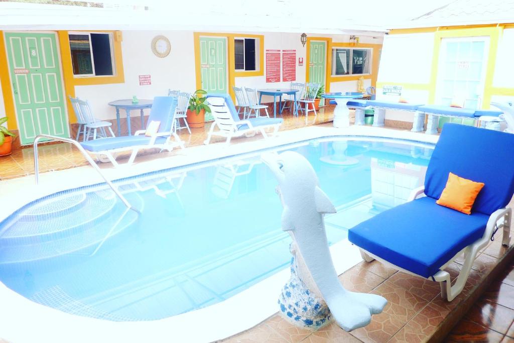 马萨亚伊万尼亚酒店的游泳池,里面坐着椅子,有一条塞满鲨鱼