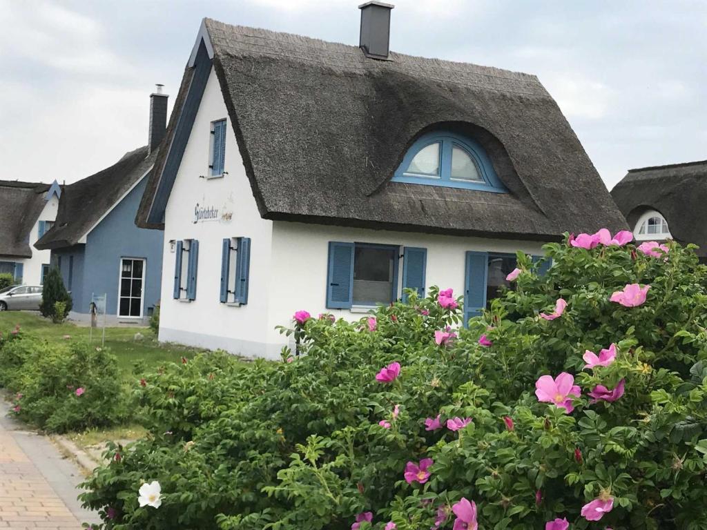 格洛韦Reethaus Stoertebeker ca 100 m zum的茅草屋顶和粉红色花卉的房子