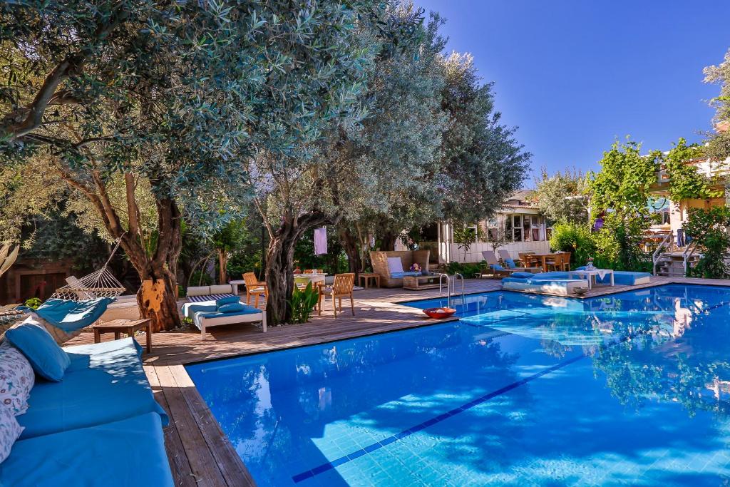 厄吕代尼兹蚝式公寓 - 仅限成人 的庭院内一个带椅子和树木的游泳池