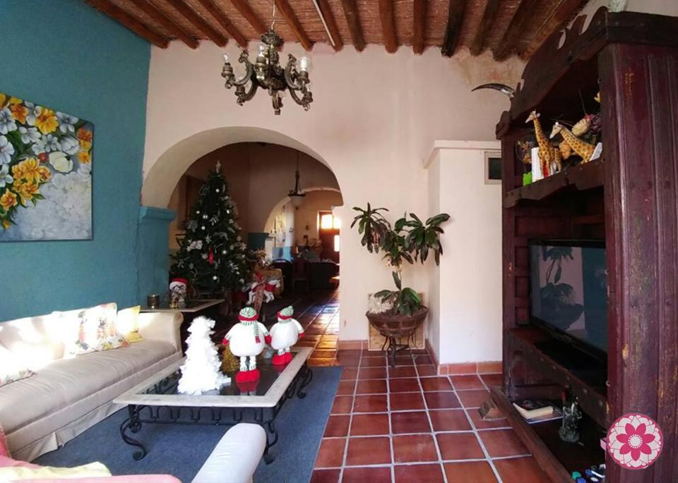 Cuatrociénegas de CarranzaHostal Doña Carlota Hotel的客厅配有圣诞树和沙发