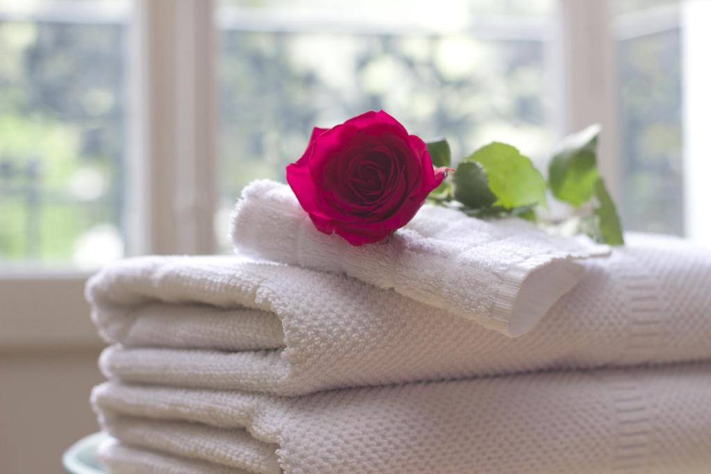 罗兹Pokoje Gościnne FRESCO的毛巾上一朵玫瑰,上面有一朵花