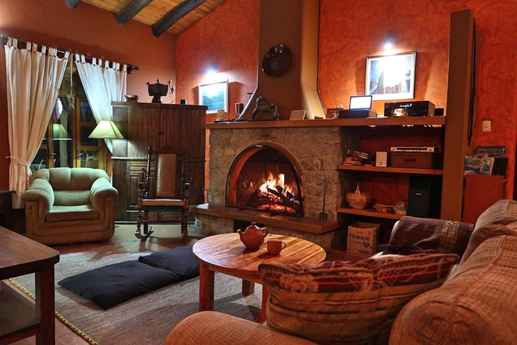 瓦拉斯The Lazy Dog Inn a Mountain Lodge的客厅设有壁炉和沙发。