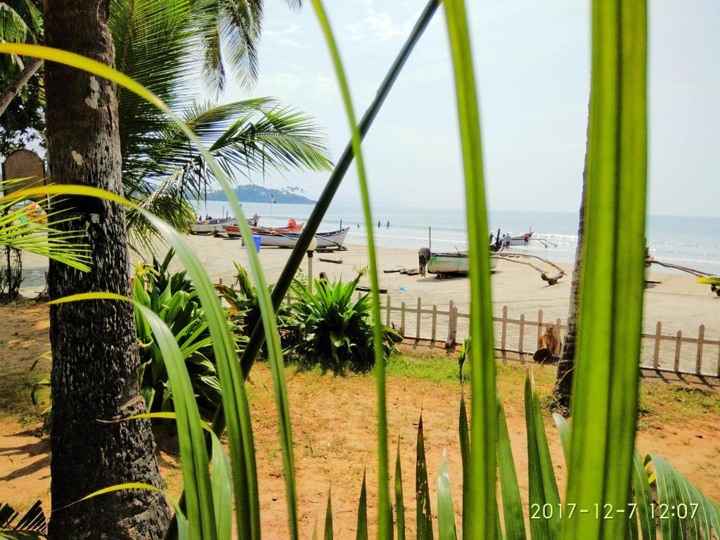 帕罗林Alegro Beach Homes的棕榈树和海洋的海滩