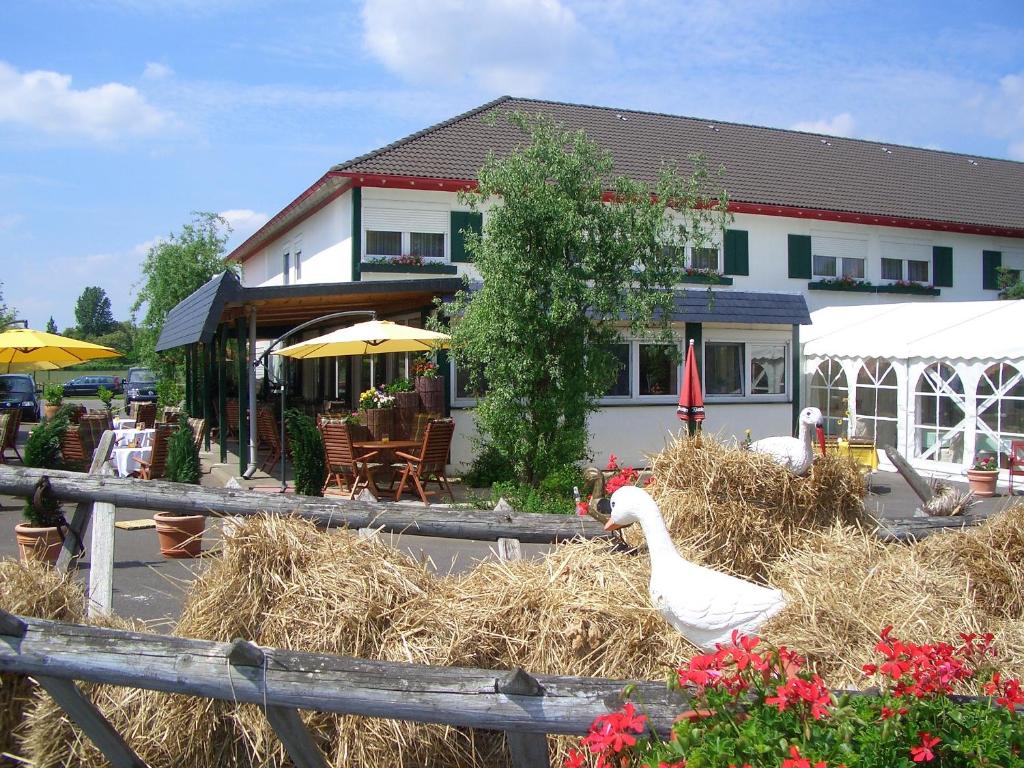 吕本瑙Die GURKENSCHEUNE - Frühstückspension的坐在房子前面的干草上的天鹅