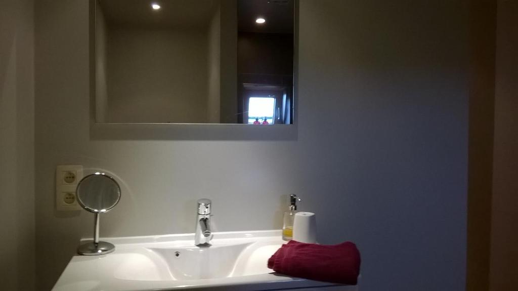 Wakken佐特克斯住宿加早餐旅馆的浴室设有白色水槽和镜子
