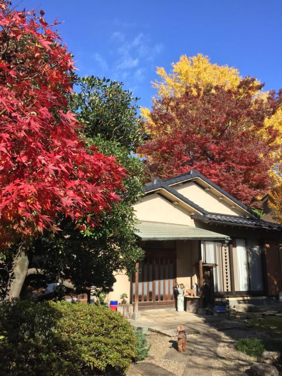 东京木香庵的前面有五颜六色的树的房子