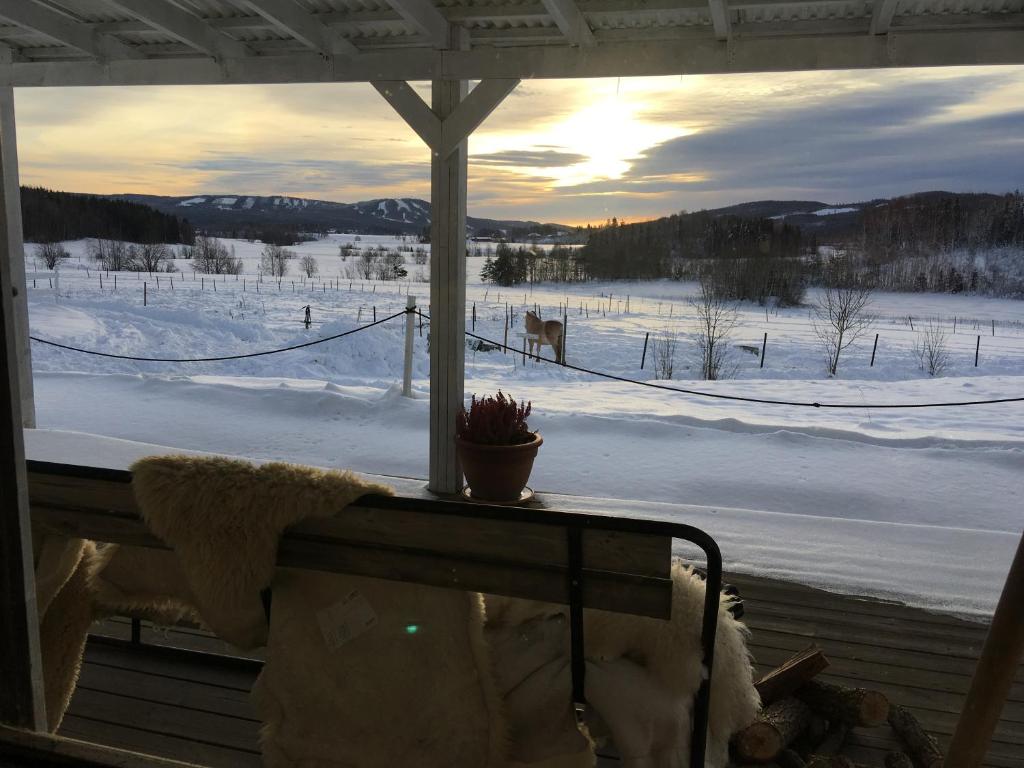 博伦厄Utsikten的从窗户可欣赏到雪地的景色