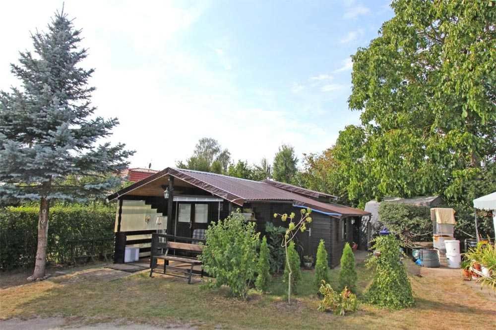 瓦伦Ferienhaus Waren SEE 6942的一座小小屋,位于一个种有树木和灌木的院子内