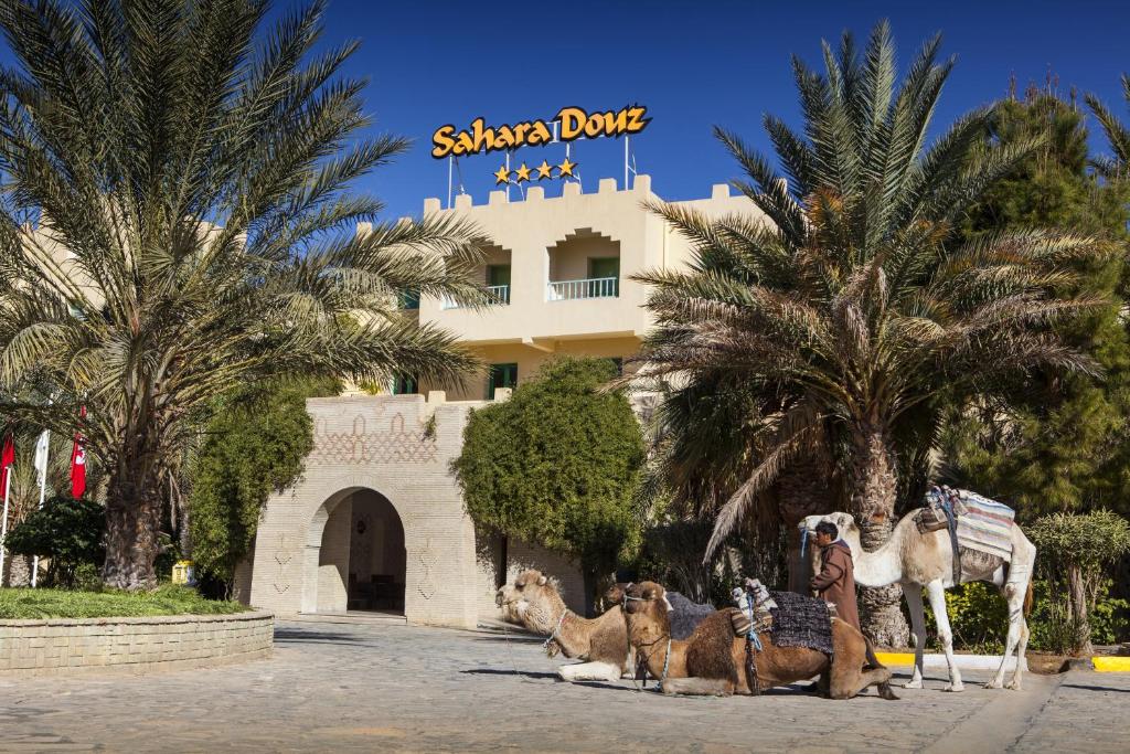 杜兹撒哈拉杜兹酒店的一群骆驼在旅馆前