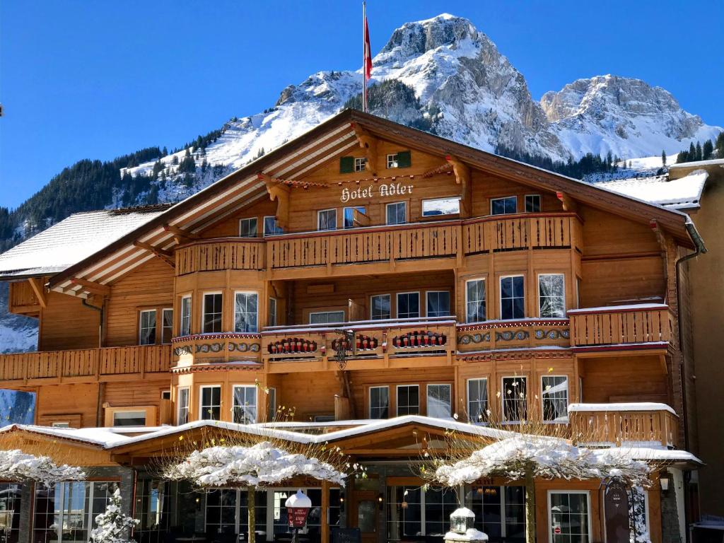 坎德施泰格Chalet Hotel Adler AG的山底滑雪山林小屋