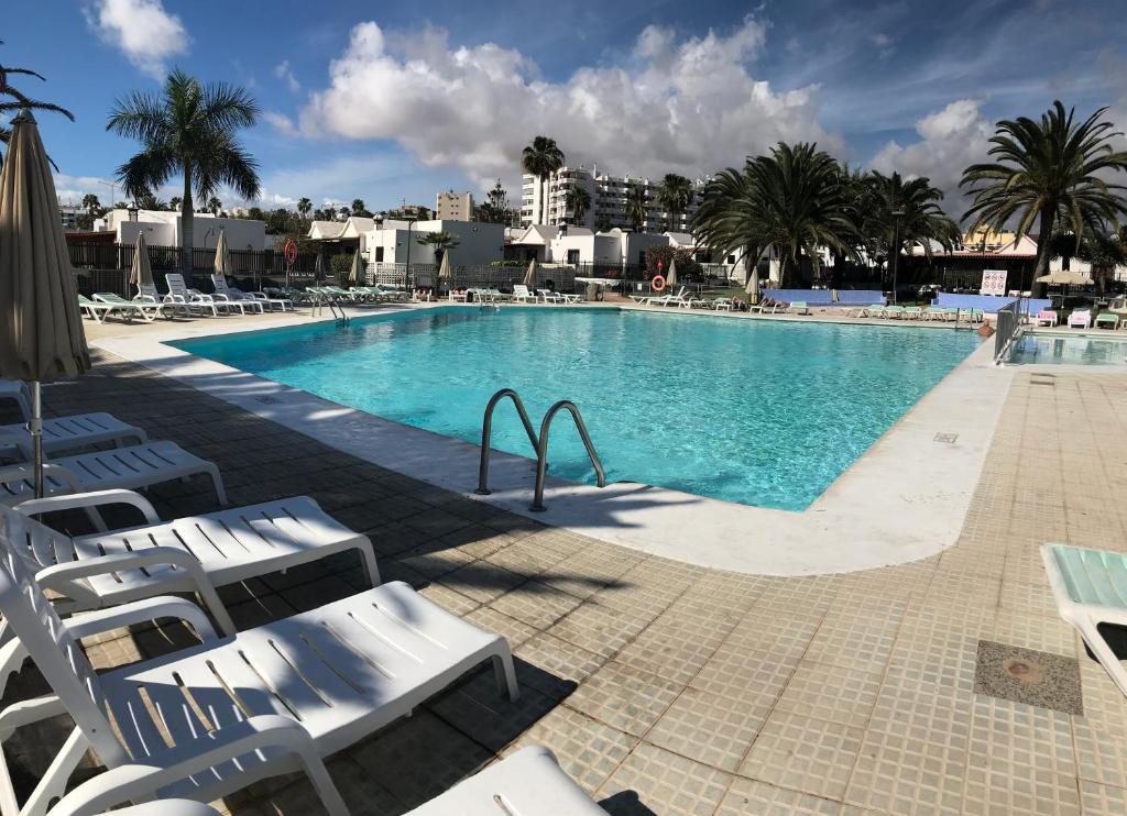 英格兰海滩马特奥别墅酒店 的一个带椅子和棕榈树的大型游泳池