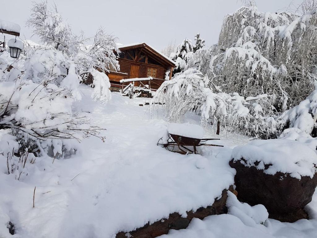 波特雷里约斯Posta Nehuen Cabañas的小屋旁的雪地堆积的院子