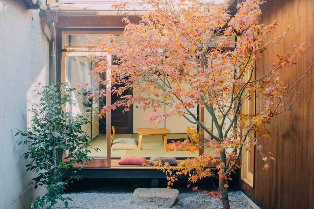 京都京町家旅宿 大雲的有一棵树,在一个带椅子的房间,花上粉红色的花