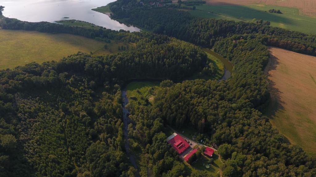 ZapustaOśrodek leśny Rajsko w Zapuście的森林中间房屋的空中景观