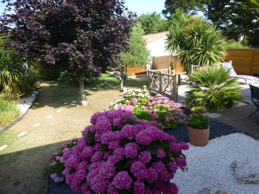 圣吉尔-克鲁瓦德维GÎTE DES FRUCHES的花园里的一束紫色花