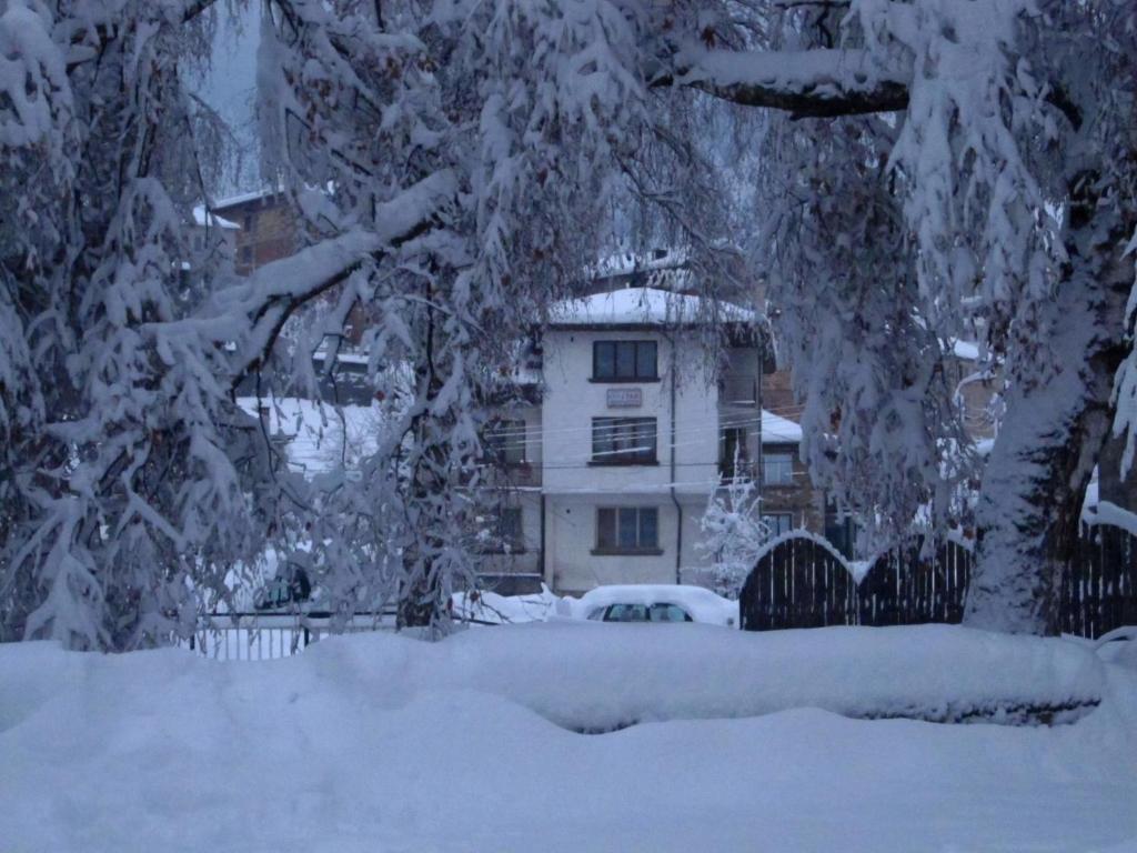 切佩拉雷梅塔克辛诺维旅馆的房子前面的雪覆盖的树