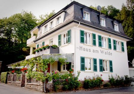 布罗登巴赫Pension "Haus am Walde" Brodenbach, Mosel的一座白色的大房子,设有绿色百叶窗和鲜花