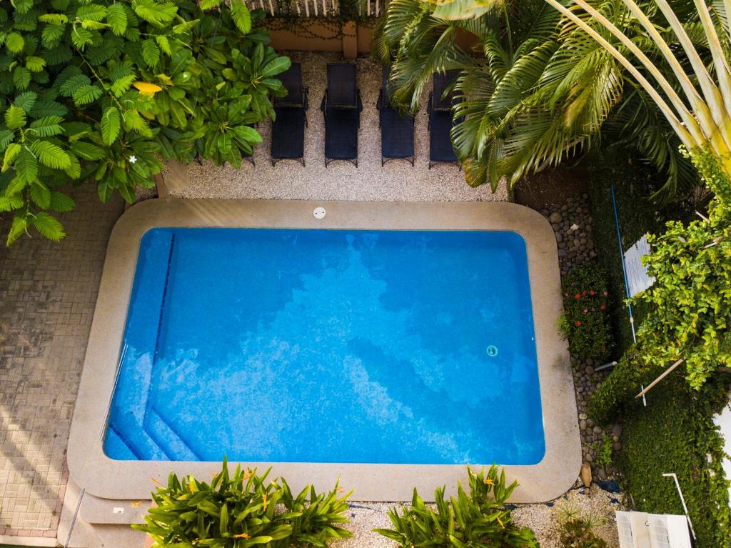 科克Hotel Laura's House的享有种植了植物的游泳池的顶部景致