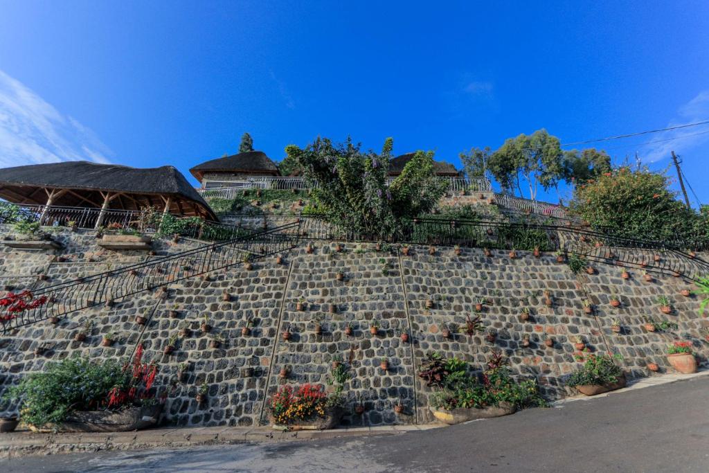吉塞尼Hakuna Matata Lodge的石墙,上面有盆栽植物
