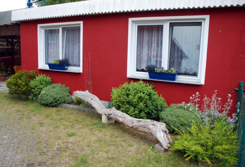 蒂索Ferienwohnung in Thiessow auf der的红色的房子,有两个窗户和一些灌木丛