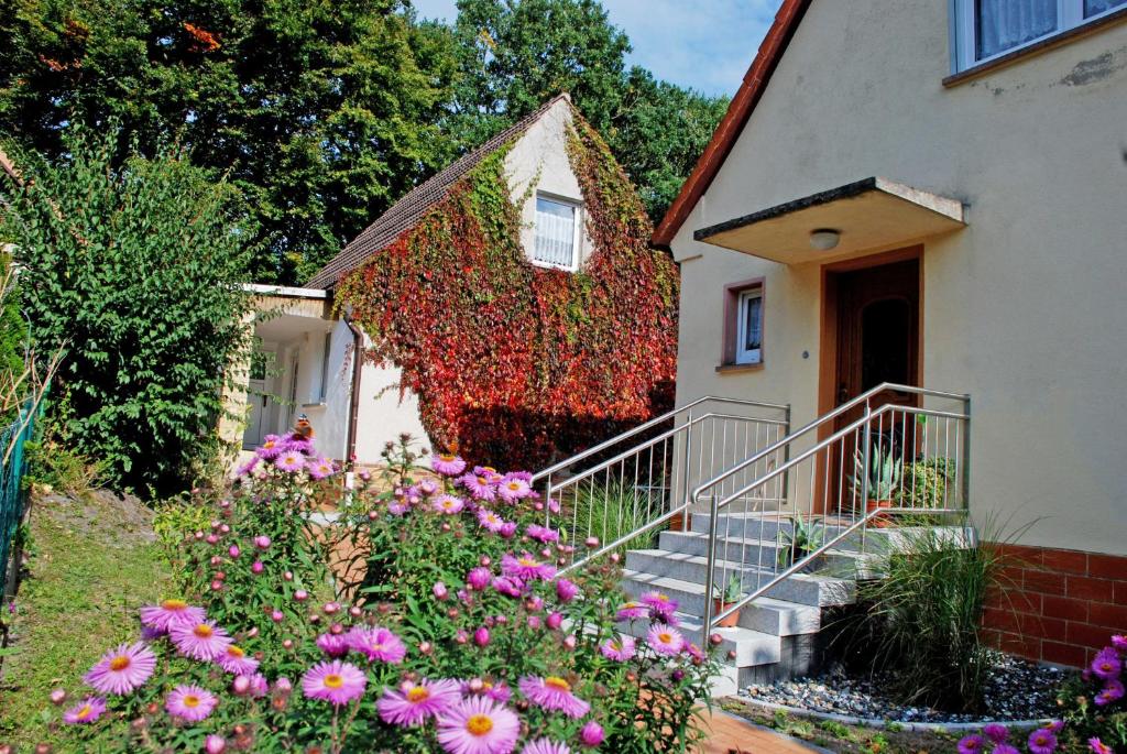 巴贝Ferienwohnungen im Ostseebad Baabe的前面有一束鲜花的房子