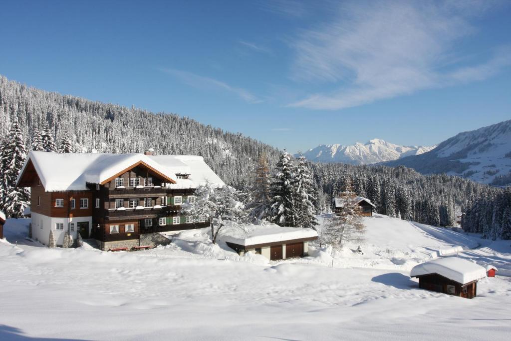 希洛谢克Wuerttemberger Haus - Hütte的山地雪地滑雪小屋