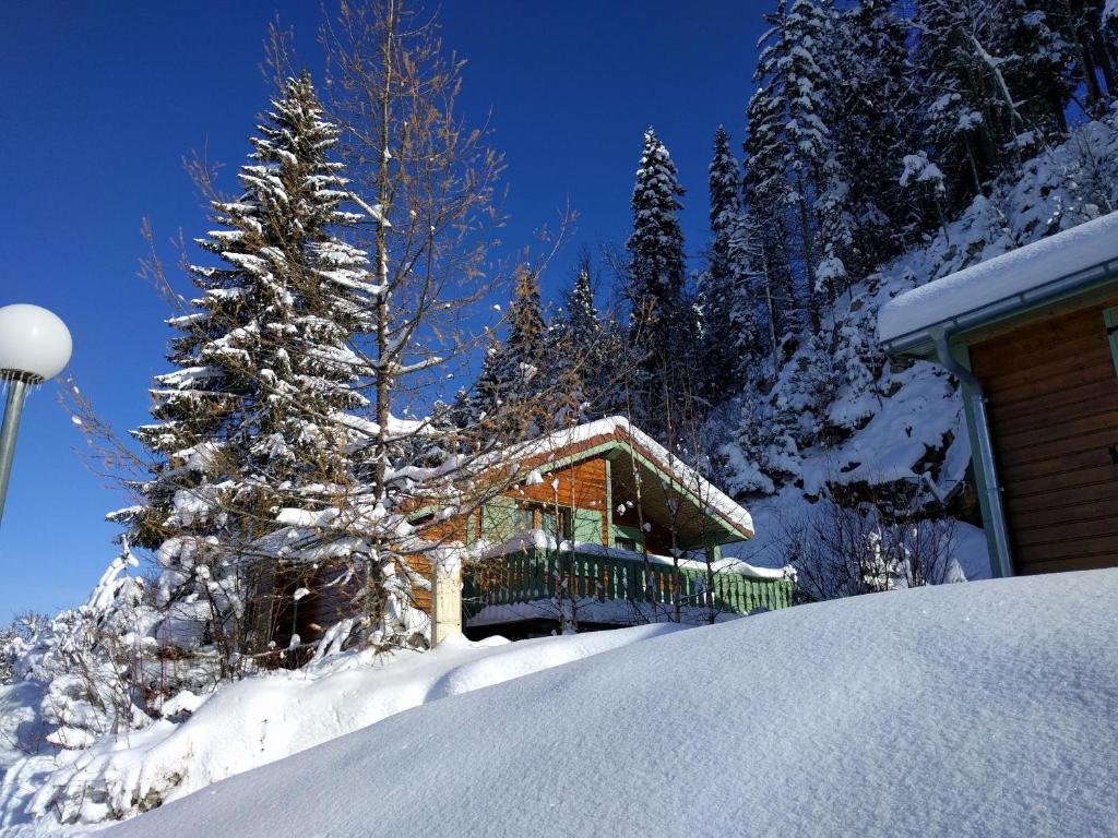 普雷芒翁Chalet Daria的树旁的雪屋