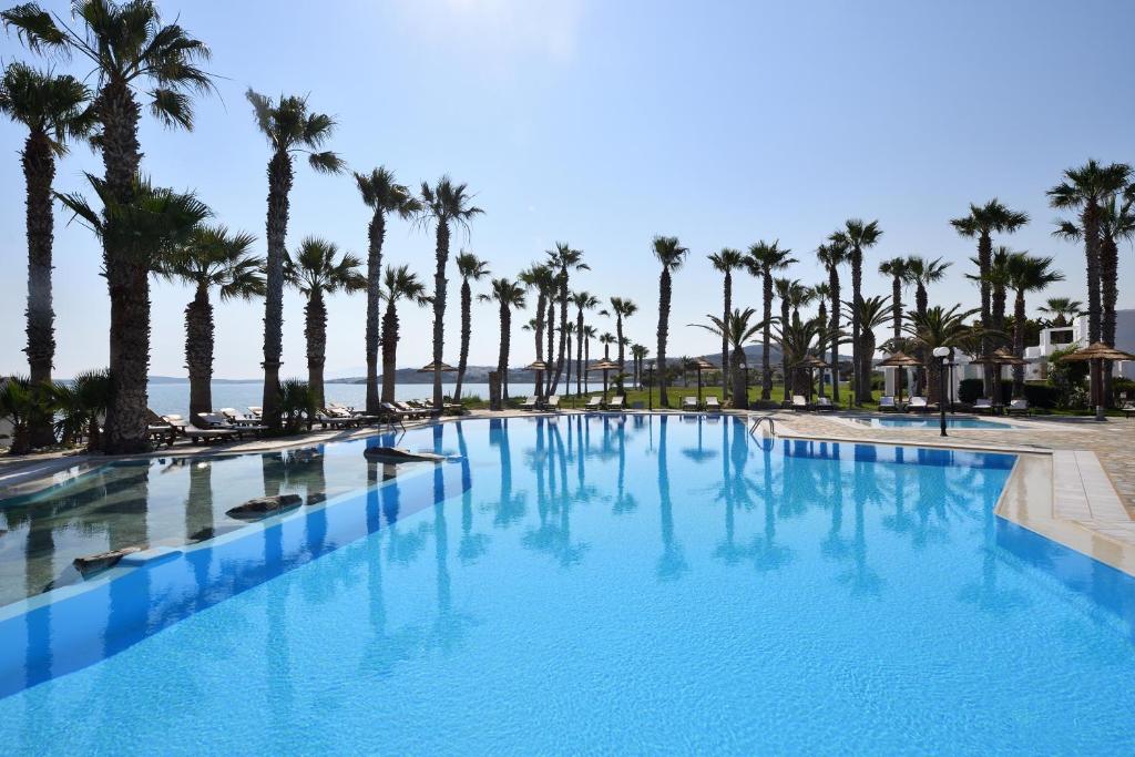 纳乌萨巴罗斯天空酒店的一座棕榈树和海洋的大型游泳池