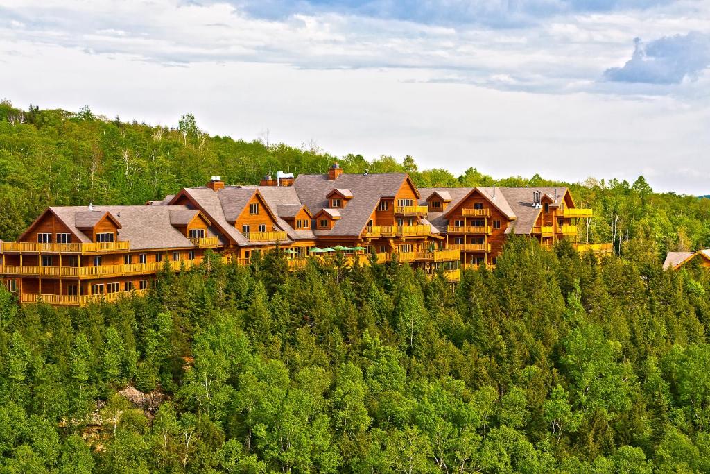 圣亚历克西德蒙萨卡科米水疗酒店的树林中度假胜地的空中景观