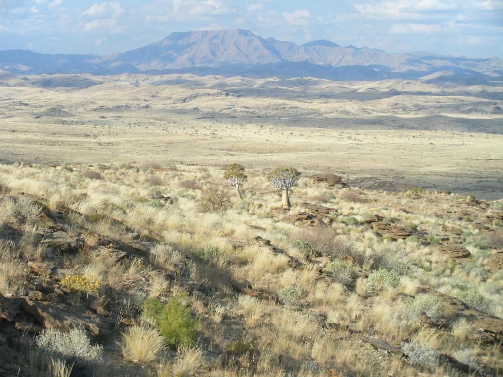 Gamsberg PassNamibs Valley Lodge的享有沙漠美景,背景为山脉