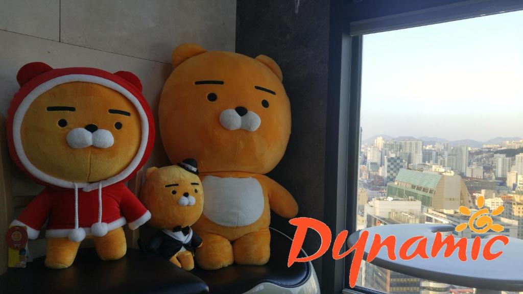 釜山动态宾馆的一组装满泰迪熊坐在架子上