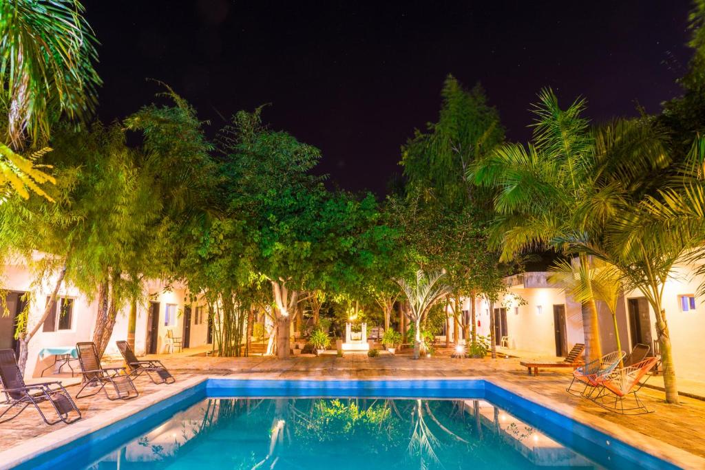 巴利亚多利德巴利亚多利德41号酒店的棕榈树庭院内的游泳池