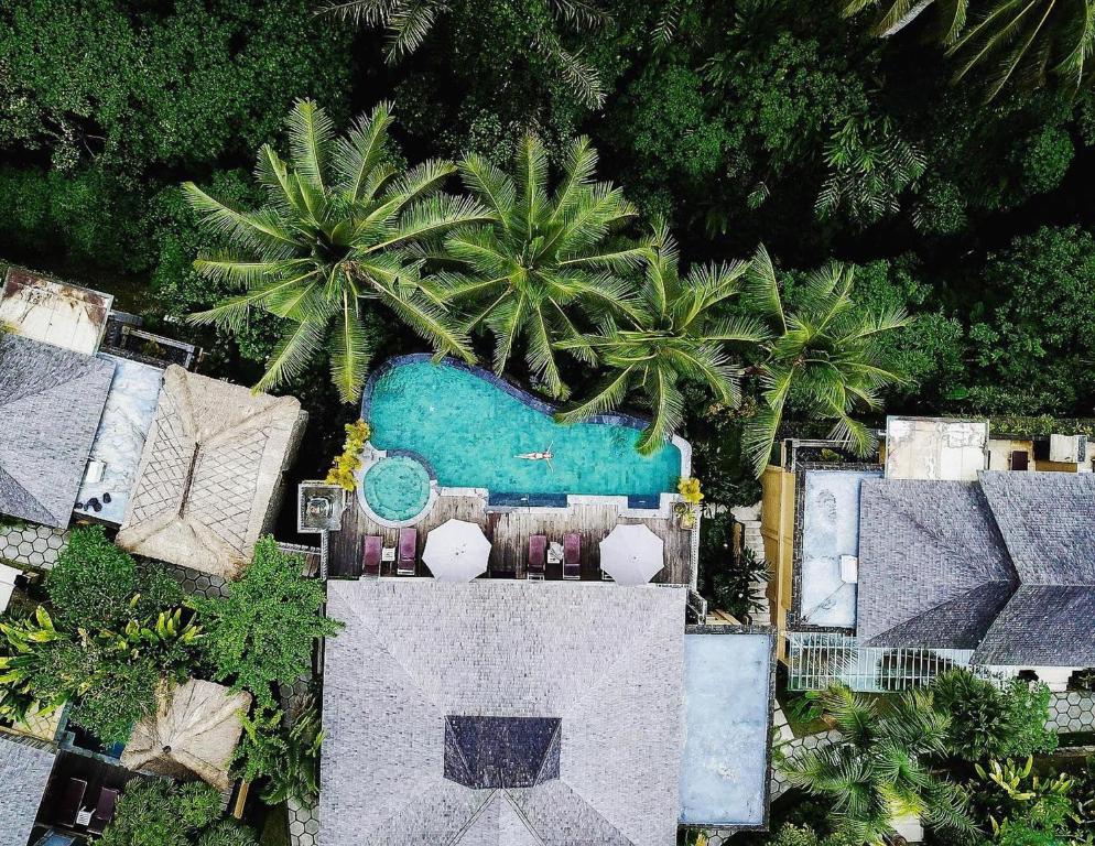乌布Wapa di Ume Ubud的享有带游泳池的度假村的空中景致