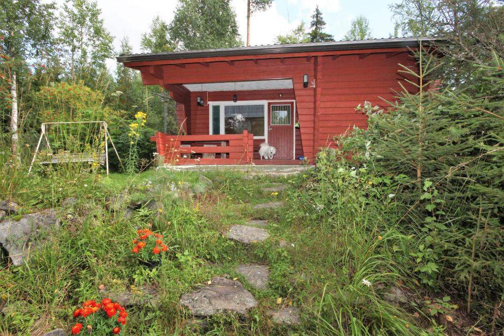 哈提图维特山林小屋外面的花园