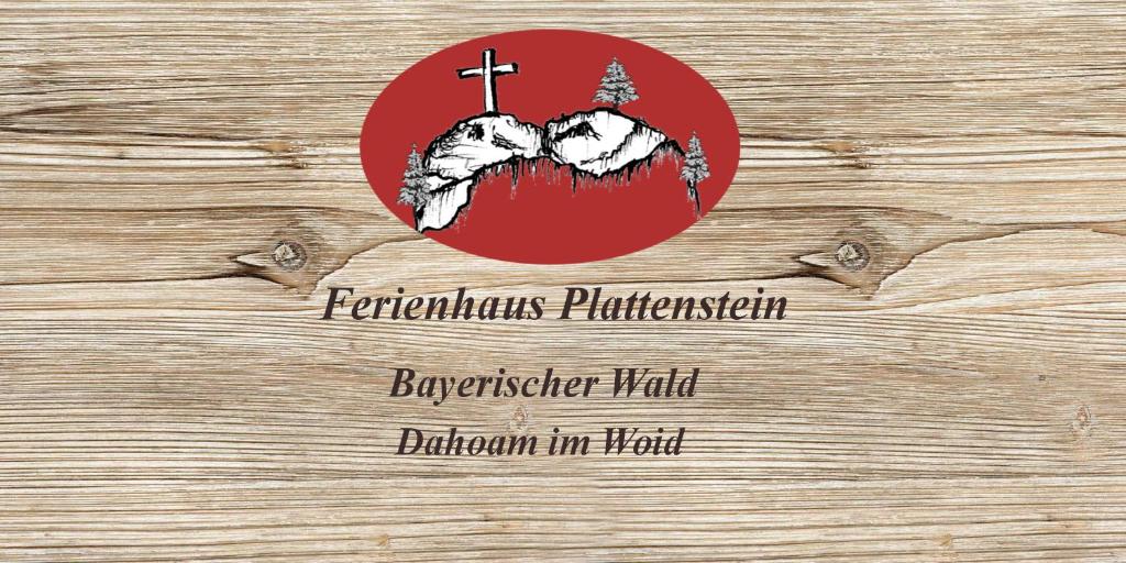 KirchbergFerienhaus Plattenstein的木墙上的红色按钮