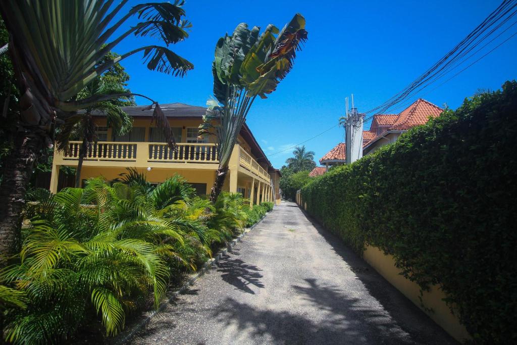 尼格瑞尔月升公寓的一条种有棕榈树的街道和一座黄色的建筑