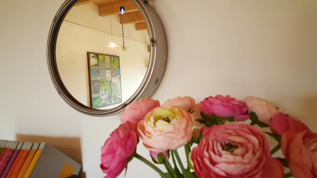 费拉拉Casa Di Arianna的镜子前的粉红色花瓶