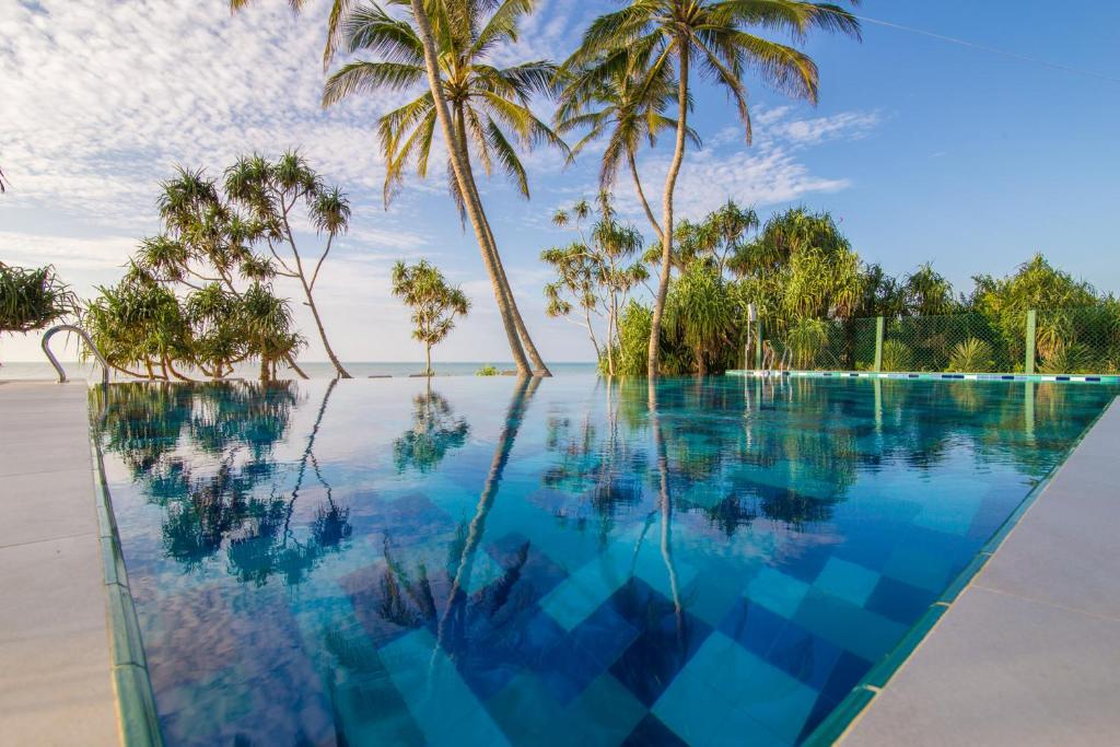 坦加拉安纳尼亚海滩度假村的海滩上种有棕榈树的无边泳池