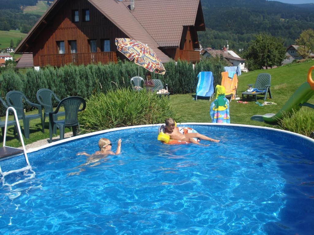 捷克布杰约维采塞德尔旅馆的两个孩子在游泳池玩耍