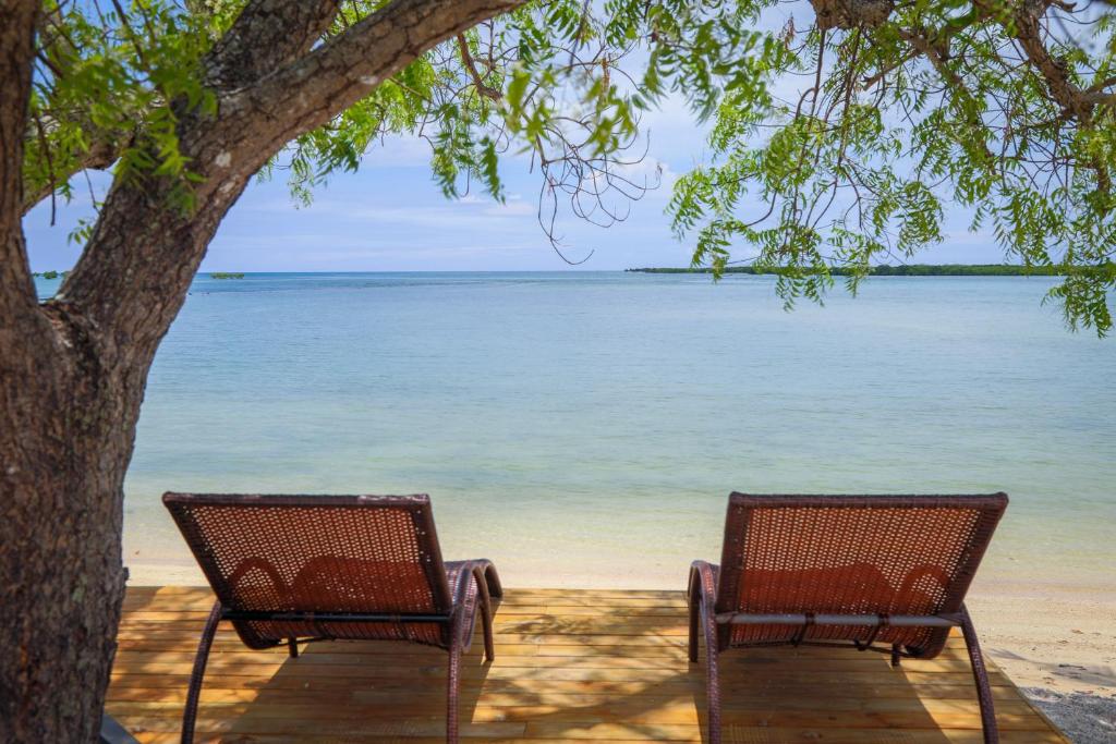 劳托卡Lander's Bay Resort的海滩上一棵树下两把椅子