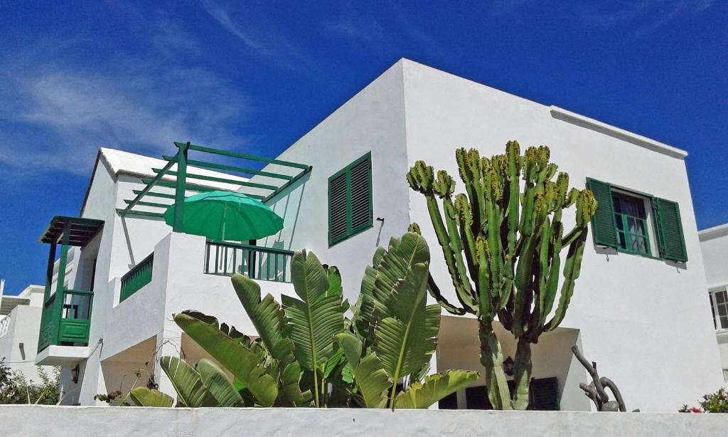 阿列塔Chelada的白色的建筑,有绿伞,靠近仙人掌