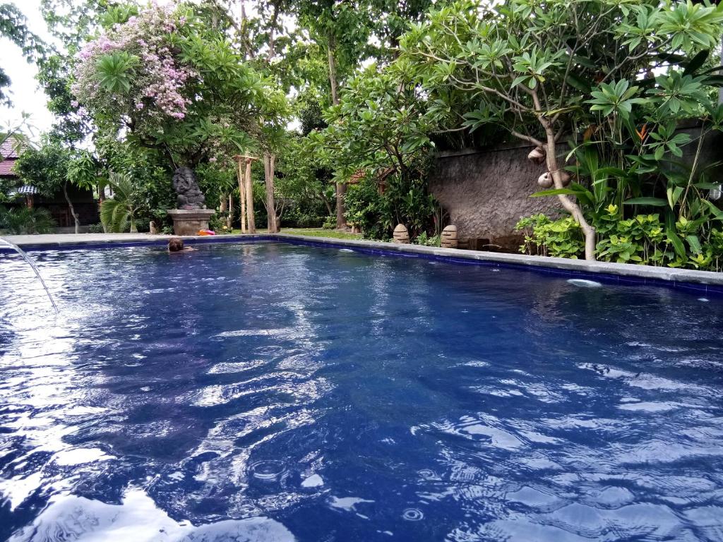 佩母德兰凡卡尔宁简易别墅旅馆的花园中的一个蓝色海水游泳池