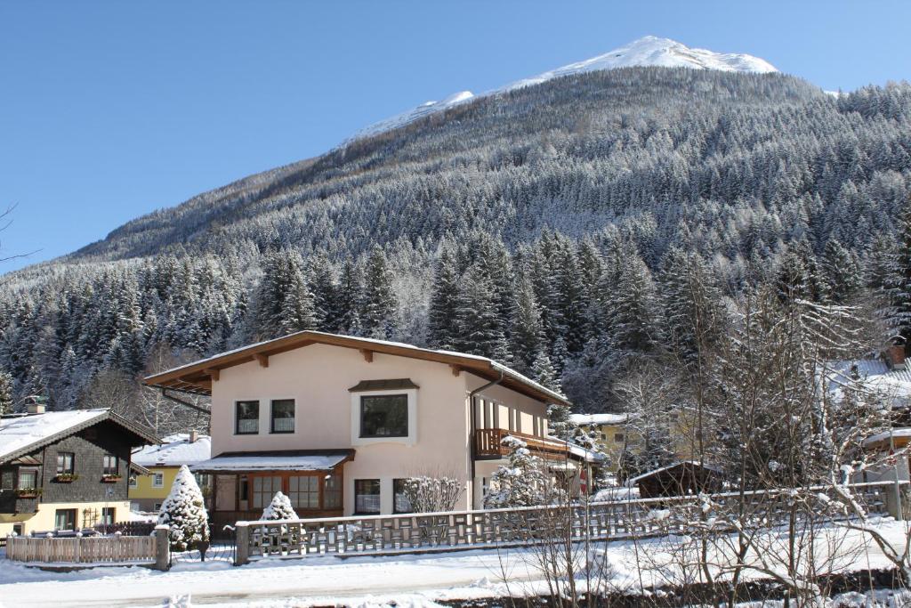 巴德加斯坦Haus Burgman Bad Gastein - appartement met 4 slaapkamers的雪中的房子,背景是山